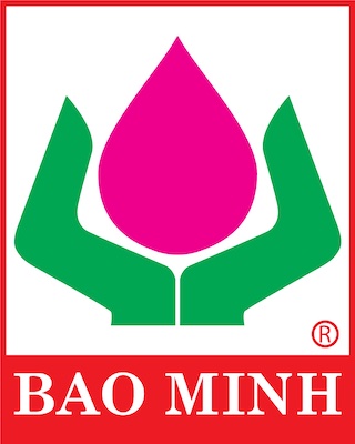 Công Ty Bảo Hiểm Bảo Minh